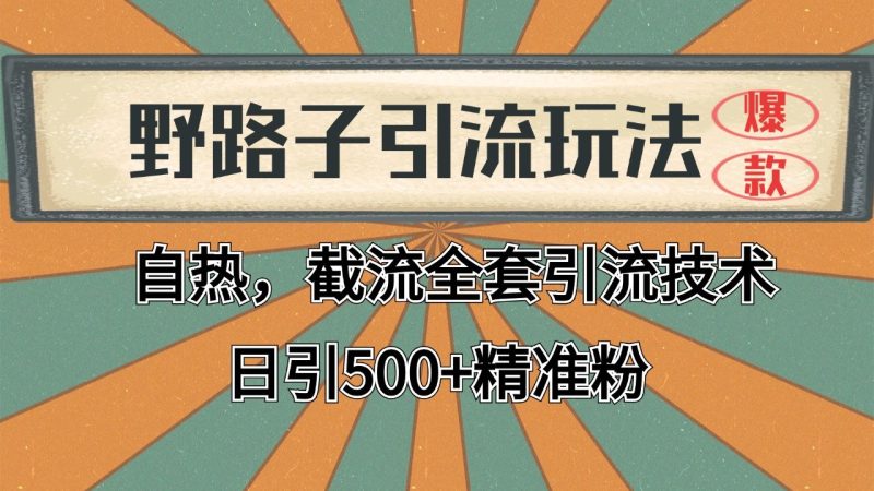 抖音小红书视频号全平台引流打法,全自动引流日引2000 精准客户-51云资源