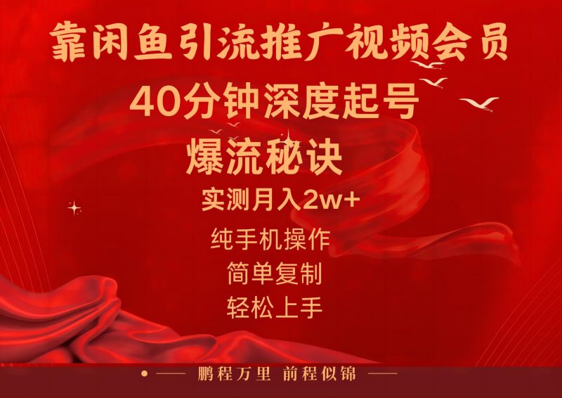 (10896期)闲鱼暴力引流推广视频会员,能做到日入2W ,操作简单-51云资源