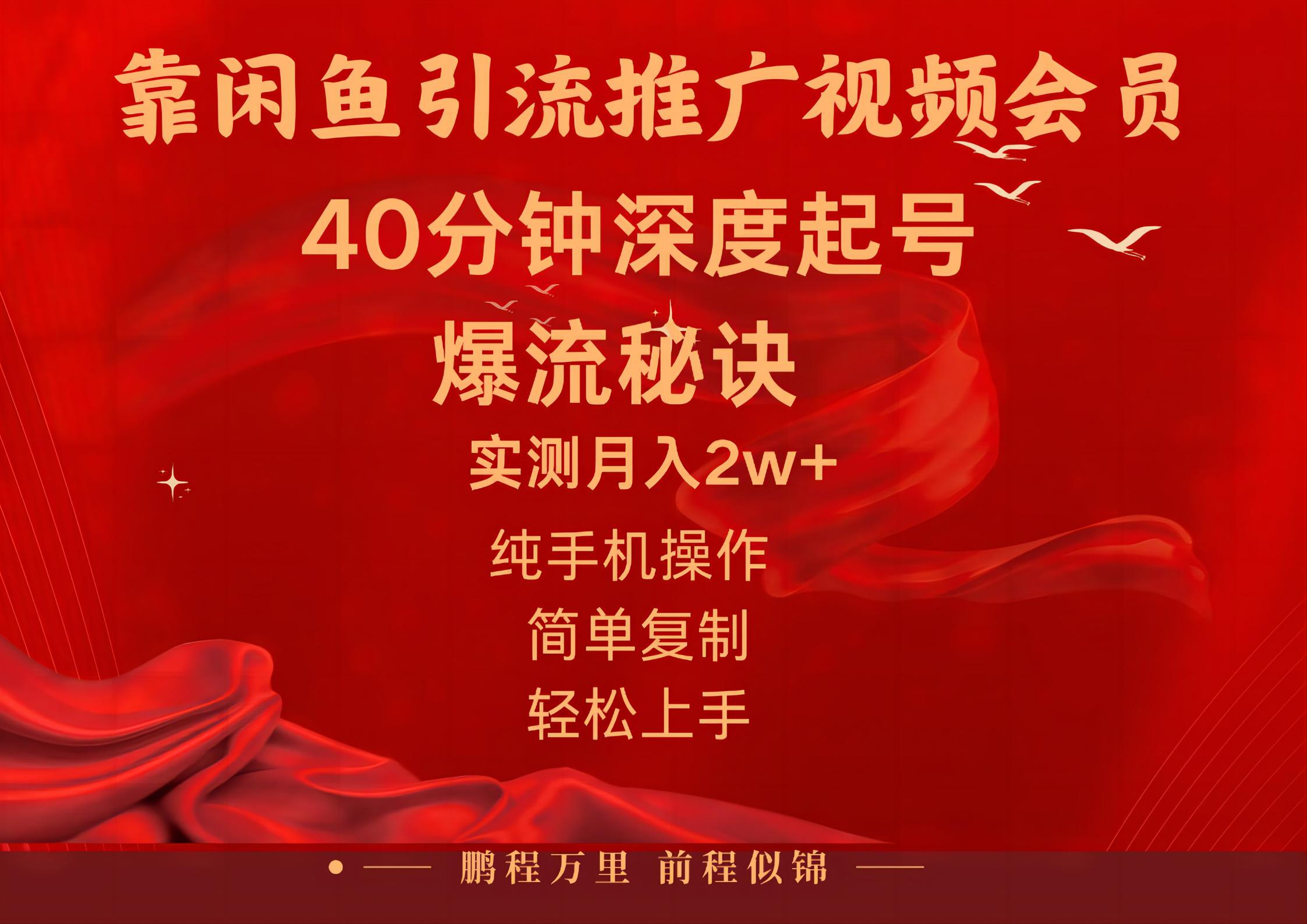 (10896期)闲鱼暴力引流推广视频会员,能做到日入2W ,操作简单