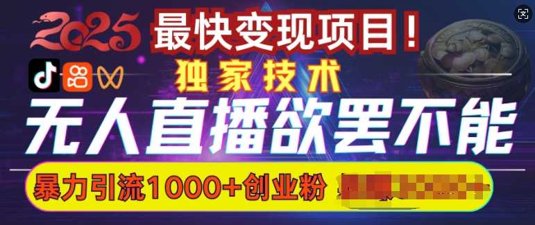 欲罢不能的无人直播引流,超暴力日引流1000 高质量精准创业粉-51云资源