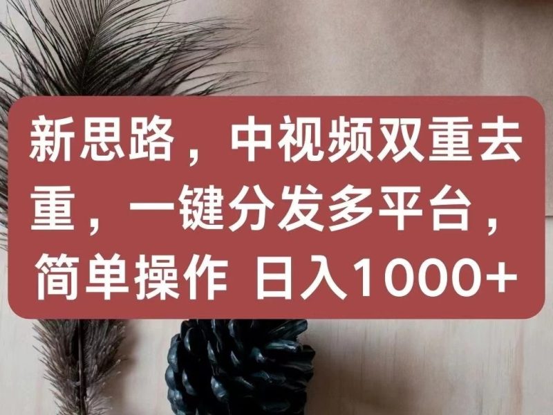 新思路，中视频双重去重，一键分发多平台，简单操作，日入1000 ！快来试试吧！-51云资源