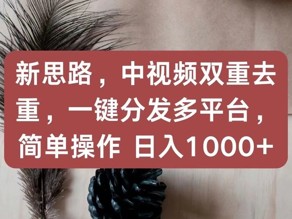 新思路,中视频双重去重,一键分发多平台,简单操作,日入1000 !快来试试吧!-51云资源