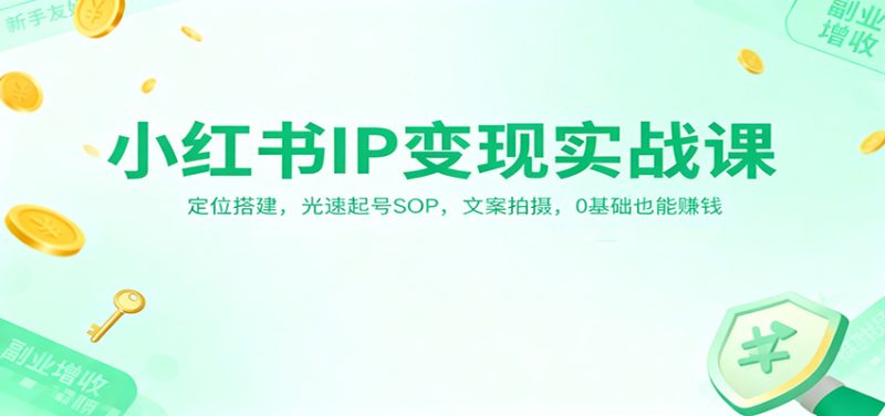 小红书IP变现实战课:定位搭建,光速起号SOP,文案拍摄,0基础也能赚钱-51云资源