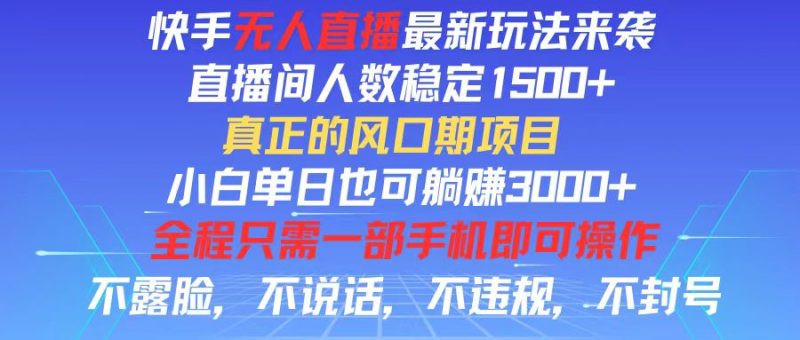 （11792期）快手无人直播全新玩法，直播间人数稳定1500 ，小白单日也可躺赚3000 ，…-51云资源