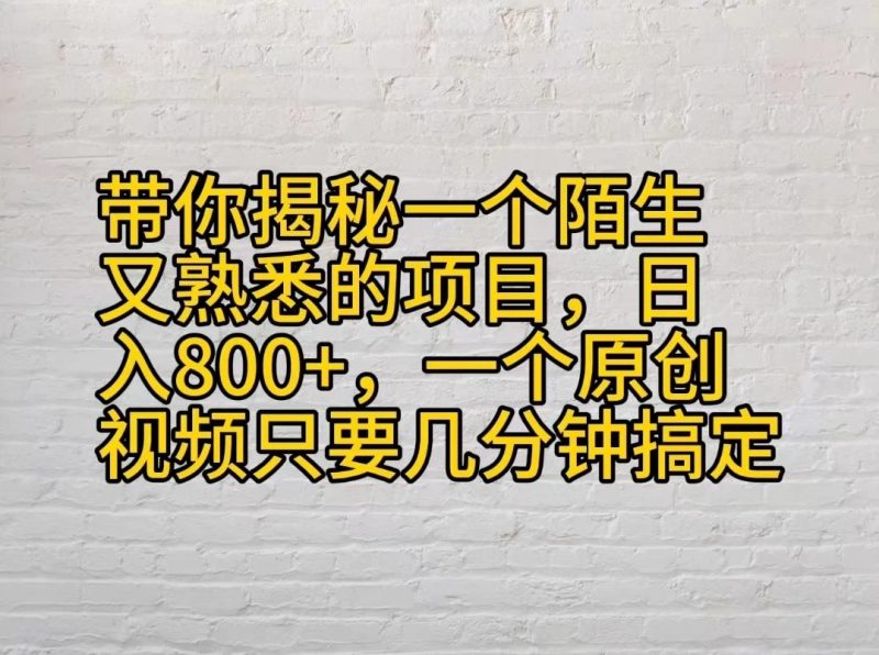 带你揭秘一个陌生又熟悉的项目，日入800 ，一个原创视频只要几分钟搞定-51云资源