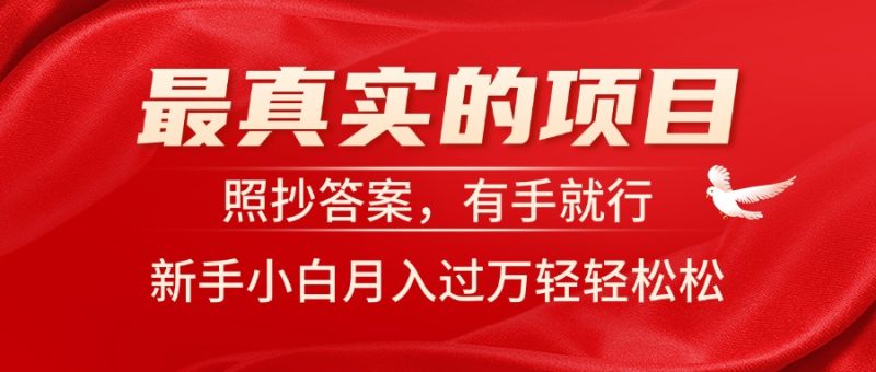 (11362期)最真实的项目,照抄答案,有手就行,新手小白月入过万轻轻松松-51云资源
