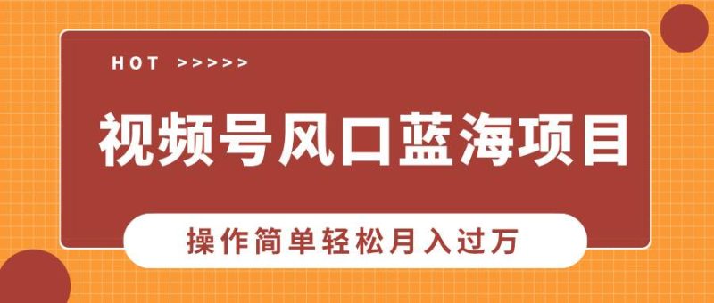 （13945期）视频号风口蓝海项目，中老年人的流量密码，操作简单轻松月入过万-51云资源