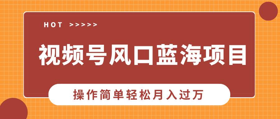 (13945期)视频号风口蓝海项目,中老年人的流量密码,操作简单轻松月入过万-51云资源