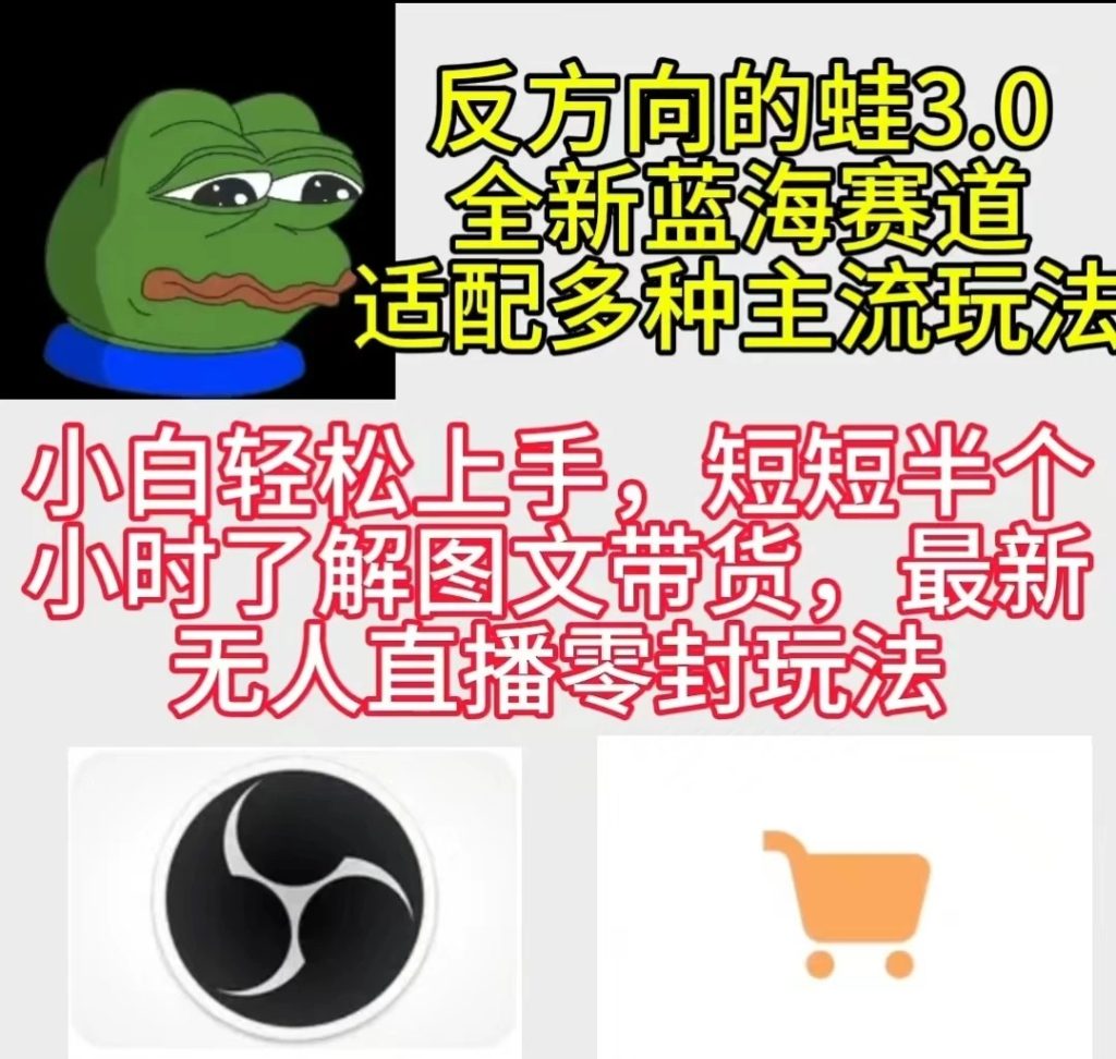 反方向的蛙3.0 图文最新玩法 隐身各种主流项目 新手小白轻松上手 日入2000-51云资源