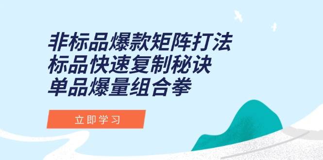 (15068期)非标品爆款矩阵打法,标品快速复制秘诀,单品爆量组合拳-51云资源