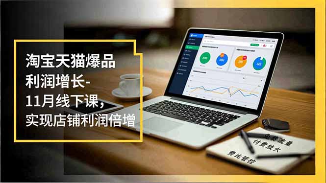 淘宝天猫爆品利润增长-11月线下课,免费流量、付费放大、费比管控,实现店铺利润倍增-51云资源