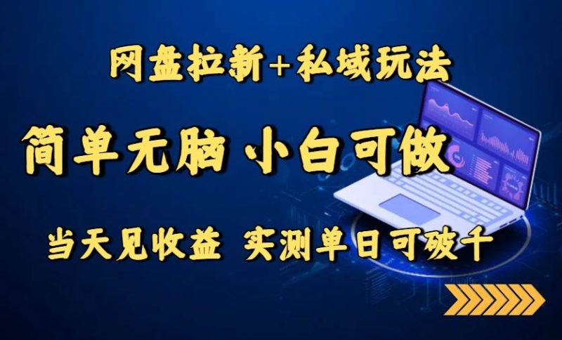 (15744期)网盘拉新 私域玩法,简单无脑,小白可做,当天见收益,实测单日可破千-51云资源