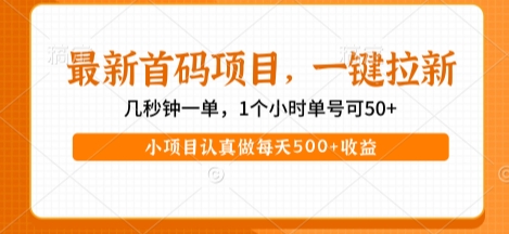 最新首码项目，操作最简单，收益高，一键拉新，1个小时单号可50 ，小项目认真做每天5张 收益【揭秘】-51云资源