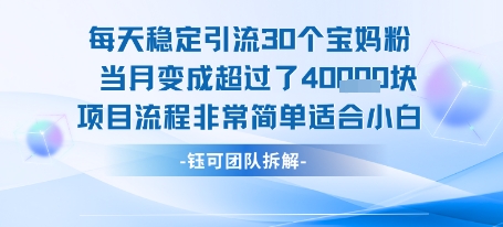 每天稳定引流30个人 当月变成超过了4个W项目流程非常简单适合小白-51云资源