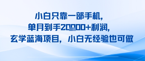 小白只靠一部手机,单月到手2W 利润,玄学蓝海项目,小白无经验也可做-51云资源