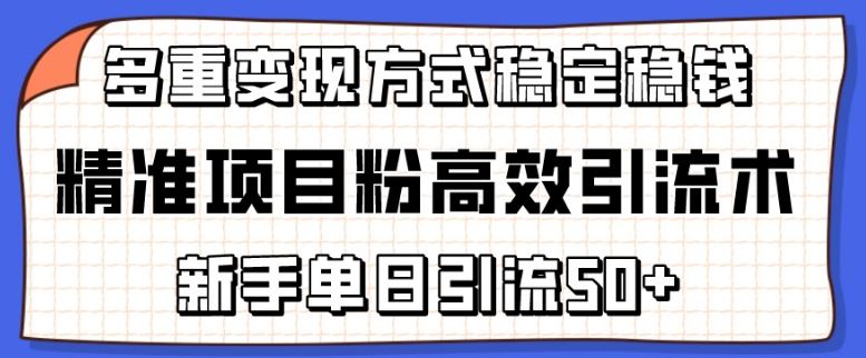 精准项目粉高效引流术，新手单日引流50 ，多重变现方式稳定赚钱【揭秘】-51云资源