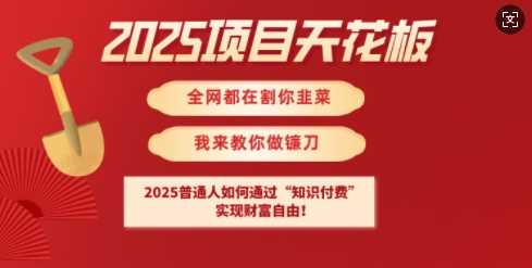 2025项目天花板普通人如何通过知识付费，实现财F自由【揭秘】-51云资源