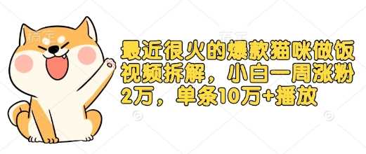 最近很火的爆款猫咪做饭视频拆解，小白一周涨粉2万，单条10万 播放(附保姆级教程)-51云资源