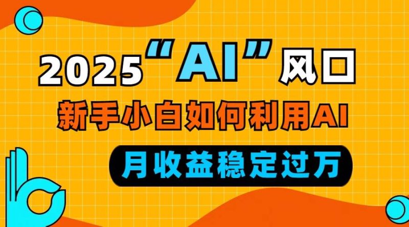 （13821期）2025“ AI ”风口，新手小白如何利用ai，每月收益稳定过万-51云资源