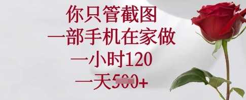 你只管截图,一部手机在家做,一小时120.一天5张【揭秘】-51云资源
