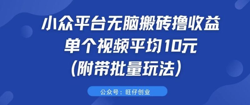 小众平台无脑搬砖撸收益，单个视频平均10元 (附带批量玩法）-51云资源