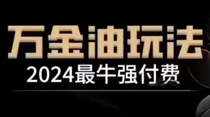 2024最牛强付费，万金油强付费玩法，干货满满，全程实操起飞（更新12月）-51云资源