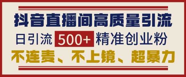 抖音直播间引流创业粉,无需连麦、不用上镜、超暴力,日引流500 高质量精准创业粉-51云资源