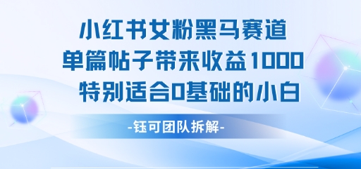 小红书女粉黑马赛道单篇帖子带来收益1k ,特别适合0基础的小白-51云资源
