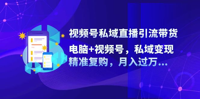 (12249期)视频号私域直播引流带货:电脑 视频号,私域变现,精准复购,月入过万…-51云资源