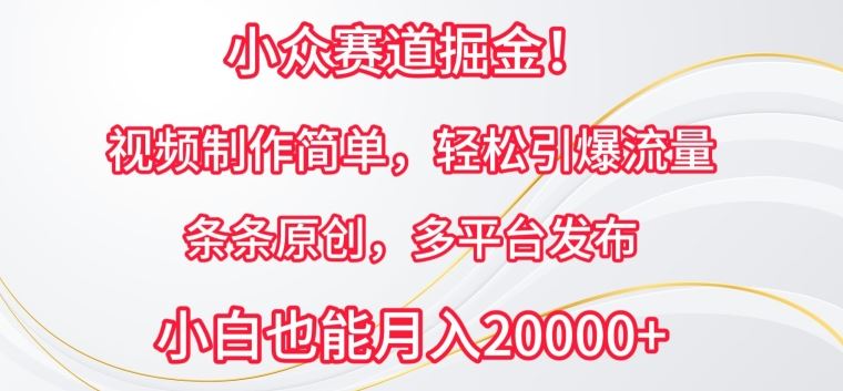 小众赛道掘金,视频制作简单,轻松引爆流量,条条原创,多平台发布【揭秘】