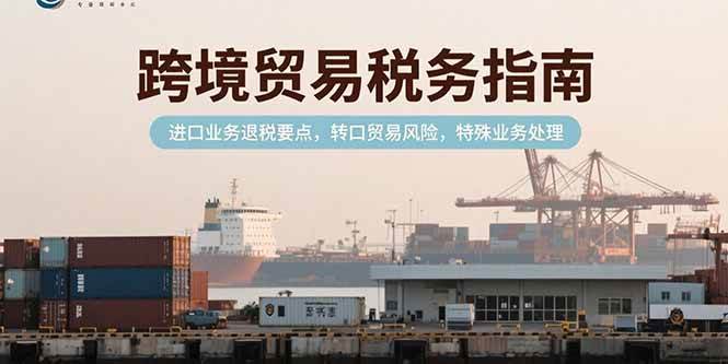 (15381期)跨境贸易税务指南,进口业务退税要点,转口贸易风险,特殊业务处理-51云资源