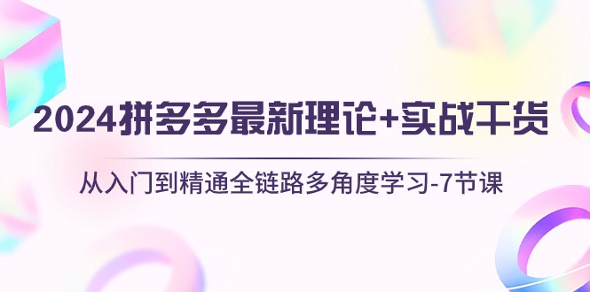 (10816期)2024拼多多 最新理论 实战干货,从入门到精通全链路多角度学习-7节课