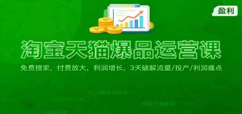淘宝天猫爆品运营课:免费搜索,付费放大,利润增长,3 天破解流量/ 投产/利润痛点-51云资源