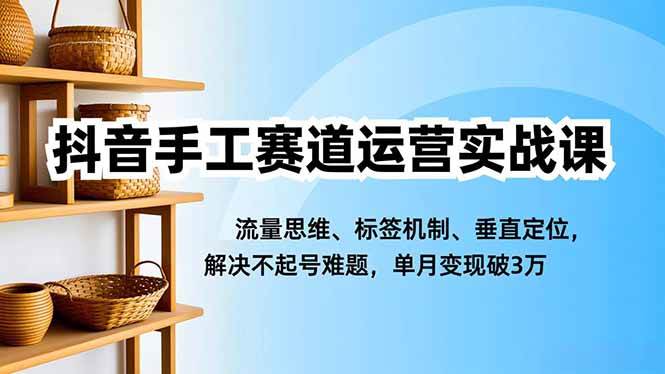 (16667期)抖音手工赛道运营实战课,流量思维、标签机制、垂直定位,解决不起号难题,单月变现破3万-51云资源