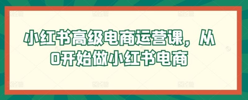 小红书高级电商运营课,从0开始做小红书电商-51云资源