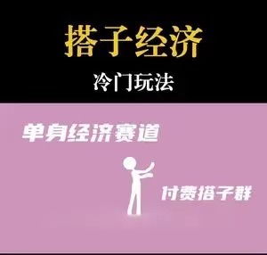 靠搭子经济月入5万每天两小时简单无脑好上手-51云资源