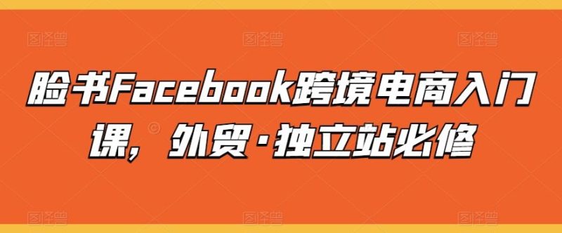脸书Facebook跨境电商入门课,外贸·独立站必修-51云资源