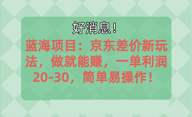 （10989期）越早知道越能赚到钱的蓝海项目：京东大平台操作，一单利润20-30，简单…-51云资源