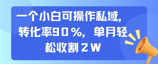 一个小白可操作私域，转化率90%，单月轻松收割2W-51云资源