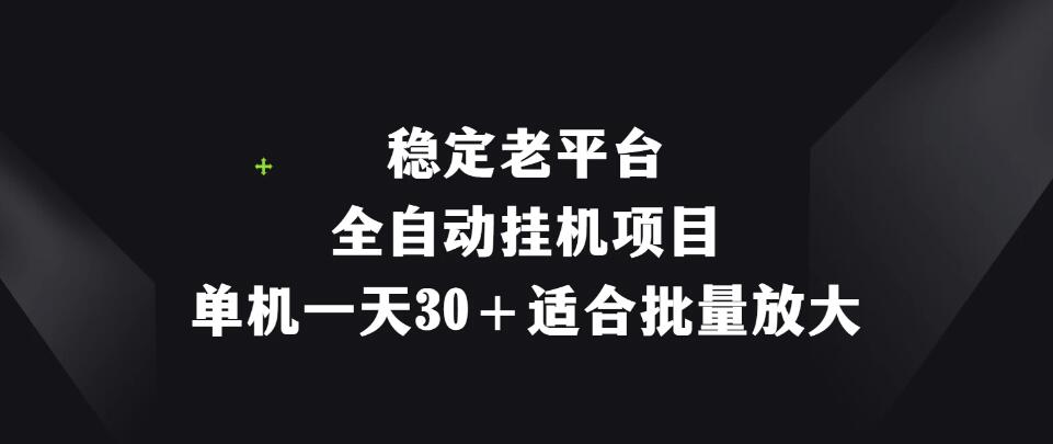 稳定老平台，全自动挂机项目，单机一天30＋适合批量放大