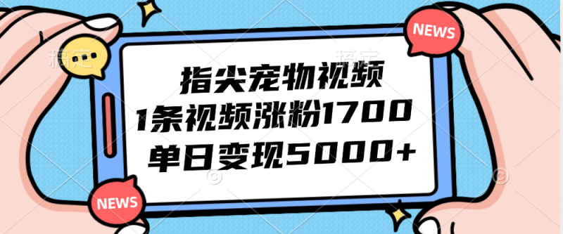 （12549期）指尖宠物视频，1条视频涨粉1700，单日变现5000-51云资源