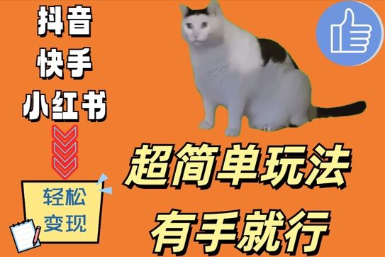 超简单玩法，有手就行，靠猫咪视频日入500 【揭秘】-51云资源