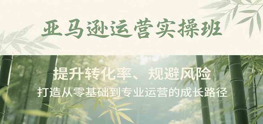 亚马逊运营实操班，提升转化率、规避风险，打造从零基础到专业运营的成长路径-51云资源