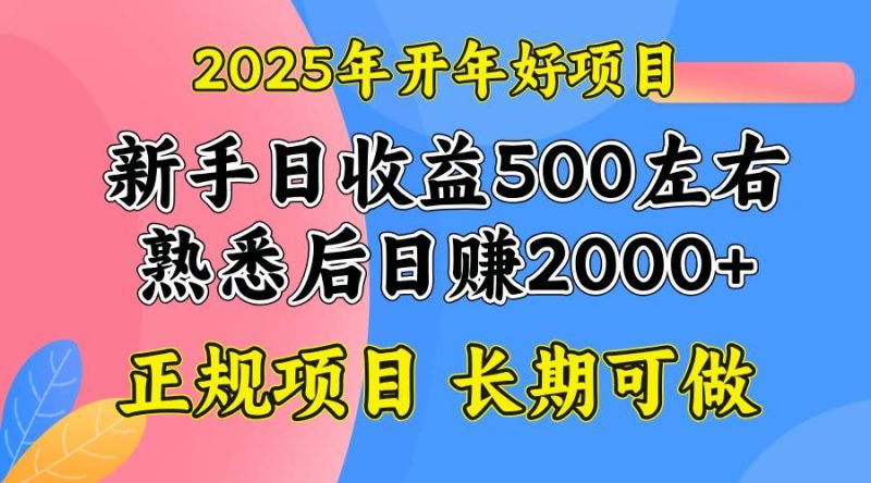（14076期）2025开年好项目，单号日收益2000左右-51云资源