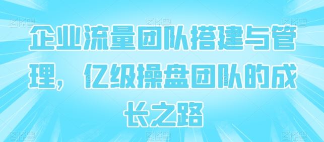企业流量团队搭建与管理，亿级操盘团队的成长之路-51云资源