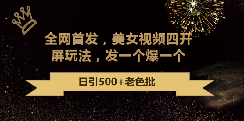 最新成人引流玩法，美女视频四开屏玩法，发一个爆一个，日引流500 精准-51云资源