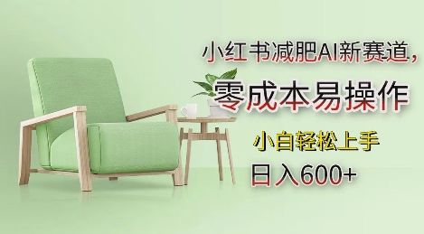 小红书减肥AI新赛道，零成本易操作，日入多张，小白轻松上手【揭秘】-51云资源