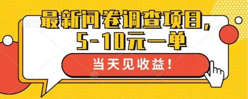 （13167期）最新问卷调查项目，单日零撸100＋-51云资源