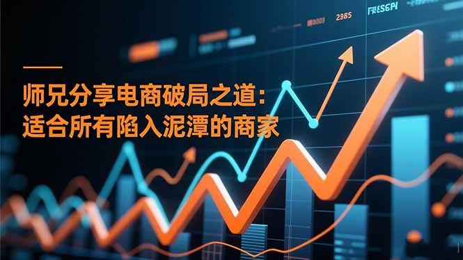 （16578期）师兄分享电商破局之道：适合所有陷入泥潭的商家-51云资源