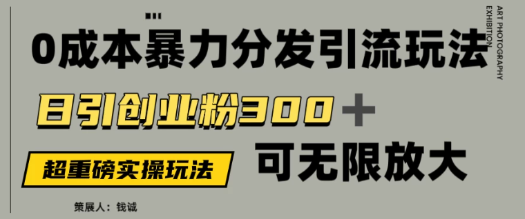 价值5980的0成本暴力引流玩法，日引创业粉300 ，可无限放大-51云资源